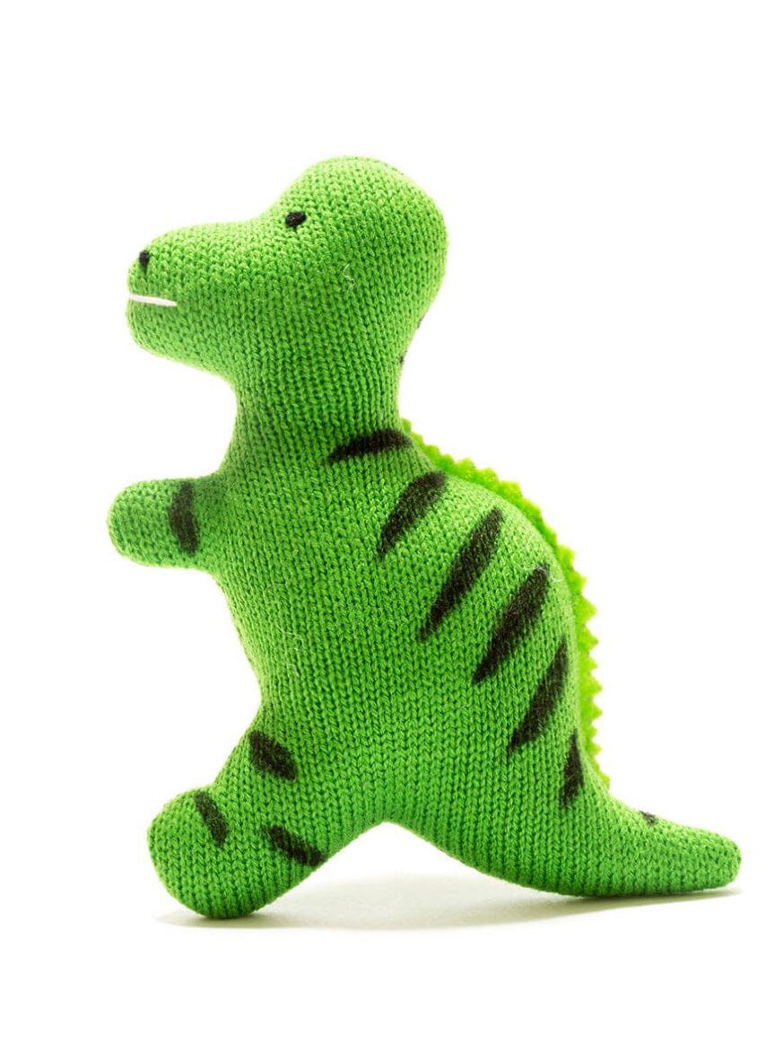 green flatty dinosaur